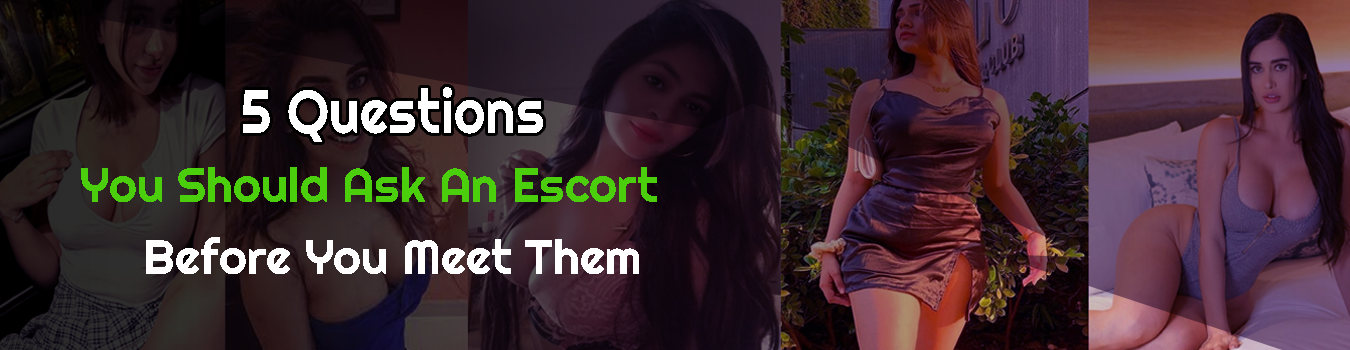 questions to ask before hiring escorts